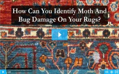 DO YOU HAVE MOTHS OR BUGS DAMAGING YOUR RUGS?