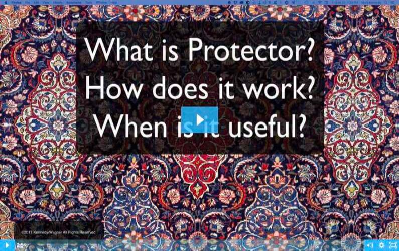 RugVideos What Is Protector