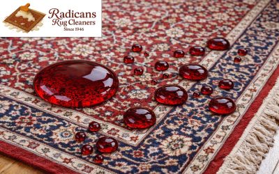 Why Rug Protector Matters for Homes in Tulsa, Oklahoma